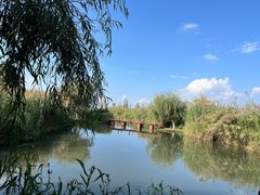 -捞渔河湿地公园