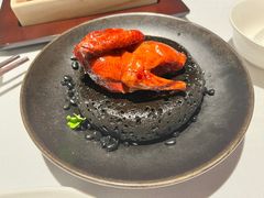 -柴门·头啖汤(天安千树店)