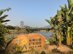 -光明小镇欢乐田园