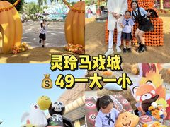 -灵玲国际马戏城