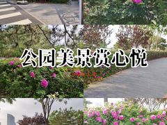-西海子公园