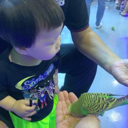 点击看大图 -未来动物城动物主题公园(大悦城店)
