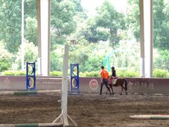 -重庆和泰马术俱乐部