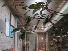 -花锦堂·隐庐