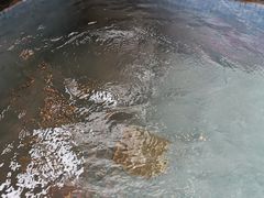 -九号温泉生活馆