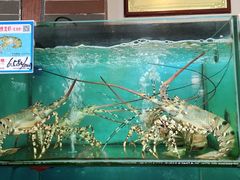 -南海渔家•海鲜•正宗海南菜(海棠湾店)