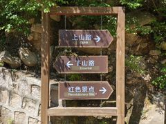 -大岭沟猕猴桃谷风景区
