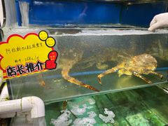 -蚝专家(北滘店)