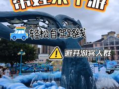 -海合安成都极地海洋公园