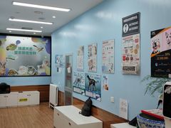 -瑞派·关忠动物医院·异宠专科·犬猫肿瘤·皮肤专科(望京店)