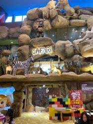 -卡通尼·Safari非洲探索乐园·生日会(金桥国际商业广场店)