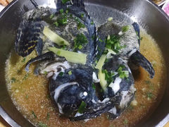 -东山码头