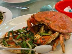 白胡椒蟹-無招牌海鮮(芽笼店)