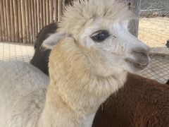 -济南野生动物世界