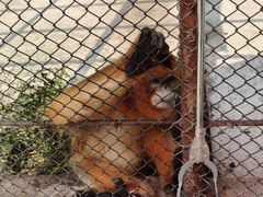 -哈尔滨北方森林动物园