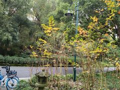 -古韵餐厅(湖畔大学店)