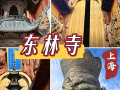 -上海东林寺(金山区)