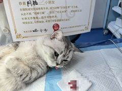 -派联宠物医院·24h·CT·异宠