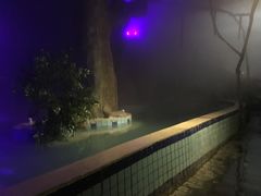 -辉县龙溪温泉养生旅游度假村