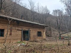 -抱龙峪