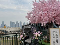 -武汉知音号
