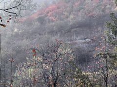 -狼牙山风景区