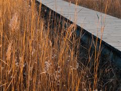 -野鸭湖国家湿地公园