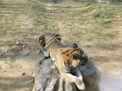 -济南野生动物世界