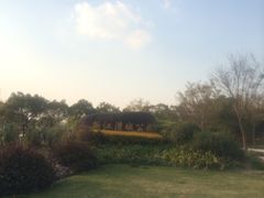 -新江湾城公园