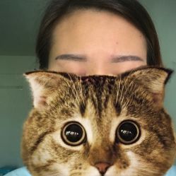 -雕龍堂纹身穿孔洗纹身培训