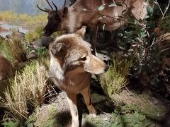 -陕西自然博物馆