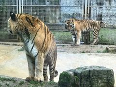 -黔灵山公园