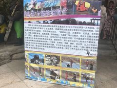 -东方熊牧场