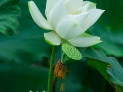 -九尊影院足道·轻奢SPA(丰庆路店)