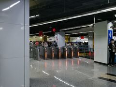 -东方体育中心(地铁站)