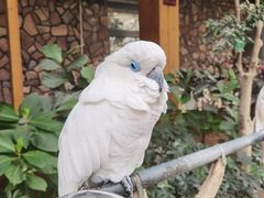 -南宫五洲植物乐园