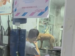 -达爱动物医院·犬猫分区·CT·复杂眼科(远洋山水分院)