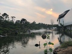 -罗红摄影艺术馆