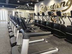 -TMG潮流健身(奥体莲荷里店)