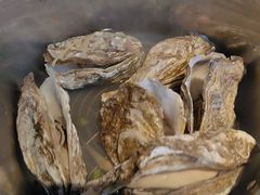 -战友蚝情烧烤工场(嘉华店)