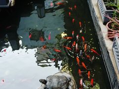 -嘉缤苑