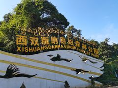 -西双版纳原始森林公园