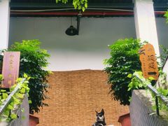-火炉山森林公园
