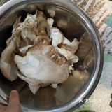 种瓜得瓜 种豆得豆 种蘑菇得蘑菇 