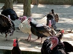 -南京金牛湖风景区