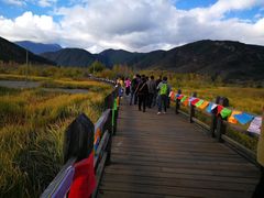 -泸沽湖国家级风景名胜区走婚桥