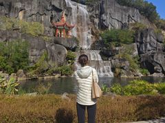 -金鸡山公园