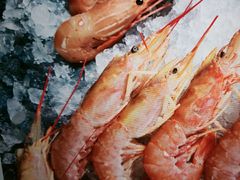 -Mr.Fish鱼鲜生海鲜放题(高德置地冬广场店)