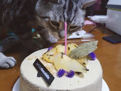 -Awfully Chocolate(嘉里城店)