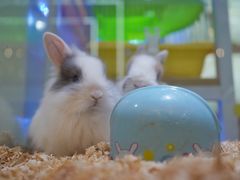 -凯德广场(武胜路店)